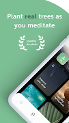 Meditation&Trees plakat