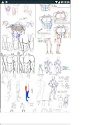 Drawing Tutorial Human Body screenshot 2