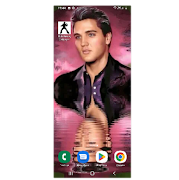 Elvis Presley Wallpaper 海報