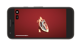 Heart Simulator screenshot 3
