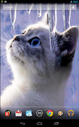 Interactive Kitten ảnh chụp màn hình 3