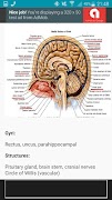 NeuroBasics স্ক্রিনশট 6