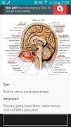 برنامه‌نما NeuroBasics عکس از صفحه