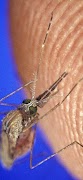 Biological Microscopes capture d'écran 5