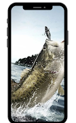 پوستر Fishing Wallpapers