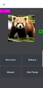 Mammals Enigma - Mammals Trivia Quiz Game скриншот 7