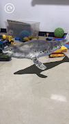 AR Aquarium ภาพหน้าจอ 1
