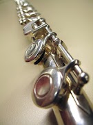 Flute Lessons screenshot 5