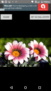 Flower Images screenshot 6
