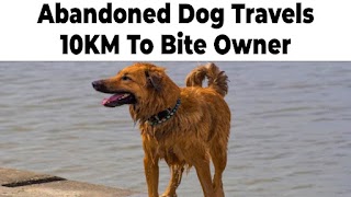 VaazkL capture d'écran 3