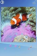 Sea Life Jigsaw Puzzles imagem de tela 7