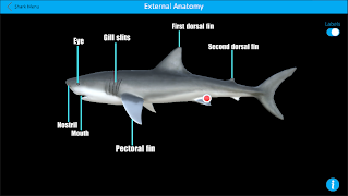 Dissection Lab Screenshot 5