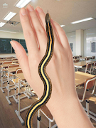 昆虫のいたずら スクリーンショット 5