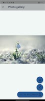 Bing today wallpaper پوسٹر