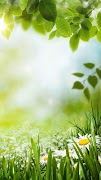 Green Spring Live Wallpaper gönderen