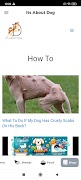 Its About Dog screenshot 7