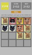 2048 Cats 포스터