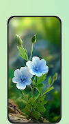 Flower Images screenshot 5