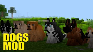 Dogs Mod For Minecraft PE Cartaz