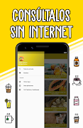 Recetas de Jugos y Batidos - C Screenshot 1