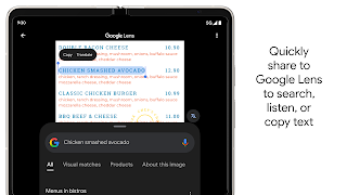 میگنیفائر اسکرین شاٹ 7