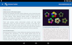 Immune System screenshot 2