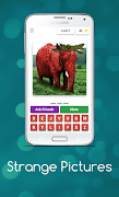 Strange Pictures Ekran Görüntüsü 2