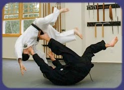 learn Krav maga screenshot 3