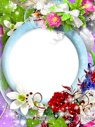 Flower Photo Frames, Lovely Flower Frame الملصق