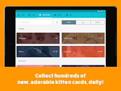 Kitten Cards Screenshot 4