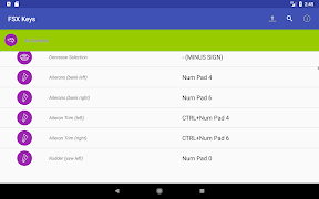 FSX Key Commands screenshot 7