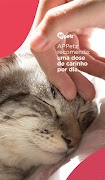 Petz poster