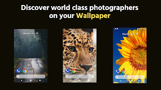WallMag - Art Community screenshot 4