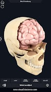 Skull Anatomy Pro. screenshot 4
