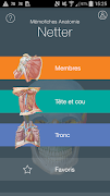 Mémofiches Anatomie Netter 海報