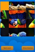 Bird Puzzle 2021 screenshot 2