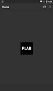Plab Q&A poster