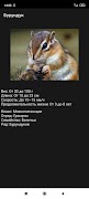Animals ảnh chụp màn hình 3