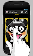 Talking Panda 스크린샷 5