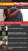 Vision 截图 2