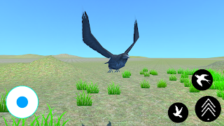 Crow Bird Flying Simulator capture d'écran 1