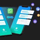 Cómo pasar tus mensajes de WA APK