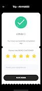Sedan Driver скриншот 6