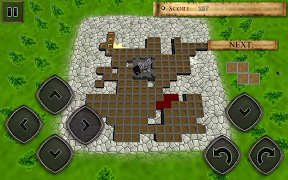 Defend Your Castle 스크린샷 1