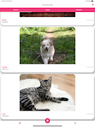 Missing Pets - Find Lost Pet 截图 5