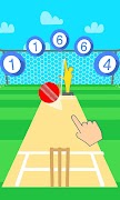 Cricket Practice screenshot 1