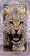 Leopard Wallpaper captura de pantalla 4