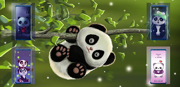 Cute Panda Wallpapers ภาพหน้าจอ 6