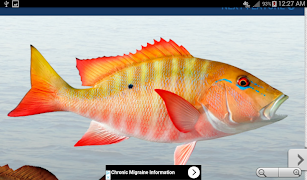 برنامه‌نما Fishing Buddy عکس از صفحه