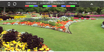 ColourBlind الملصق